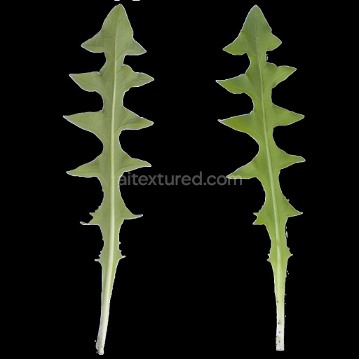 Leaf Green Nature Organic Plant Texture Seamless Tileable Pbr Realistic