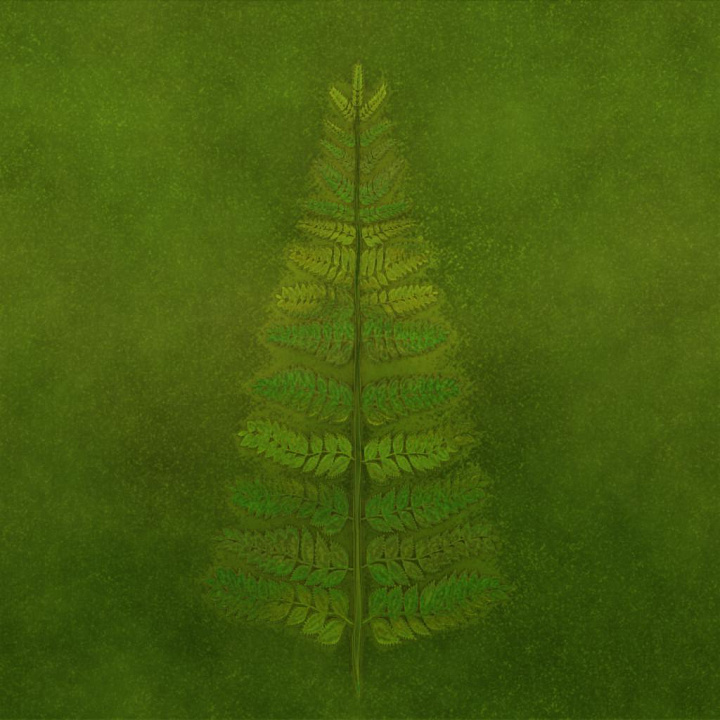 Fern Generator seamless PBR texture preview