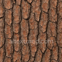 seamless Fine Pine Bark Texture Seamless 1024X1024 texture 1024x1024 free download PBR