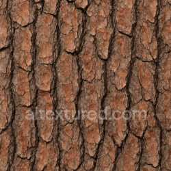 seamless Fine Pine Bark Texture Seamless texture 8k free download PBR