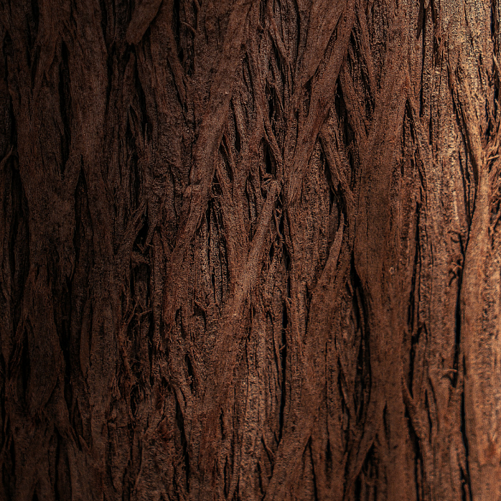 Dark Brown Tree Bark with Deep Groove Detail Wood seamless PBR texture preview
