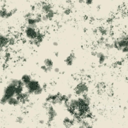 Blue Cheese Texture | Free PBR seamless Food PBR texture