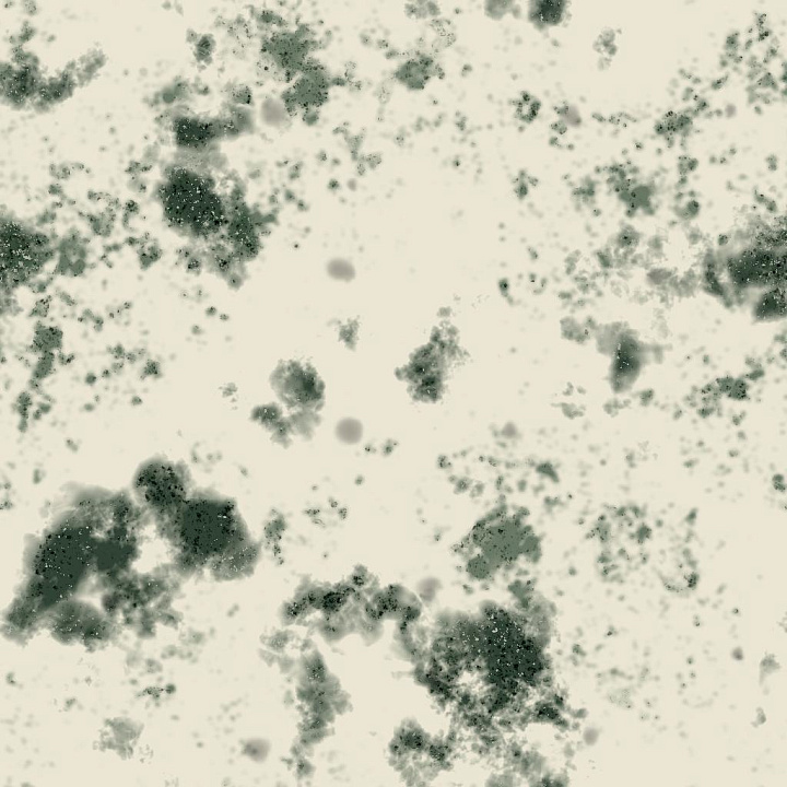 Blue Cheese seamless PBR texture preview