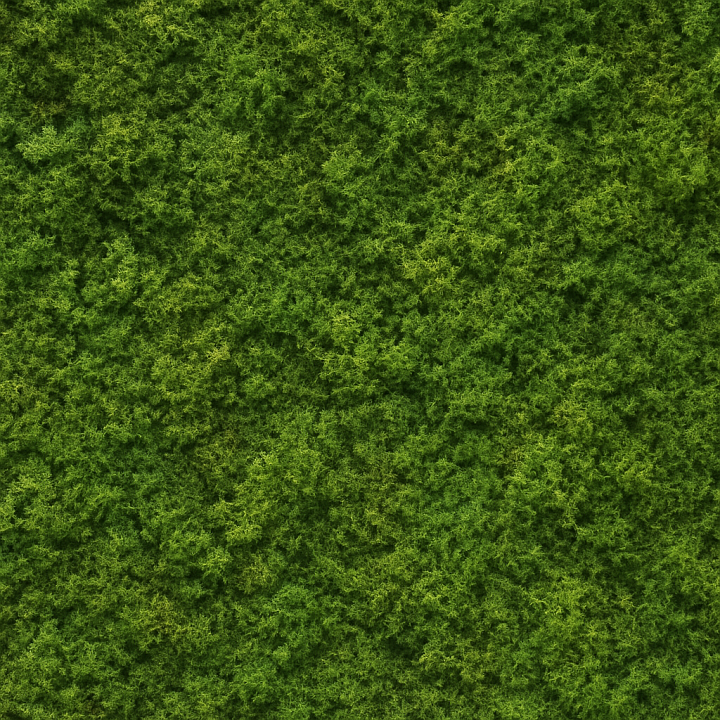 Natural Moss seamless PBR texture preview