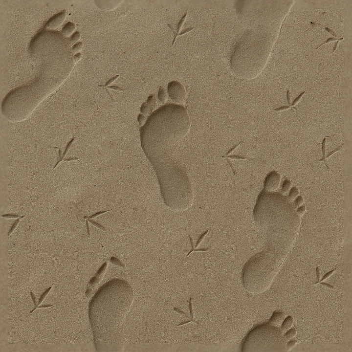 of Single Bird Footprints on Wet Sand seamless PBR texture preview