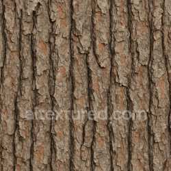 seamless Weathered Pine Bark Texture Seamless texture 8k free download PBR