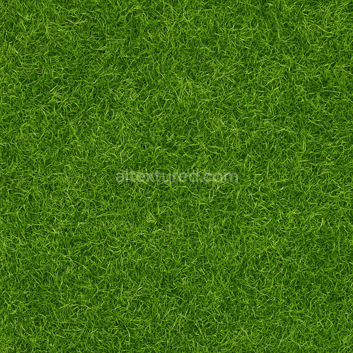Photorealistic Green Lawn Texture