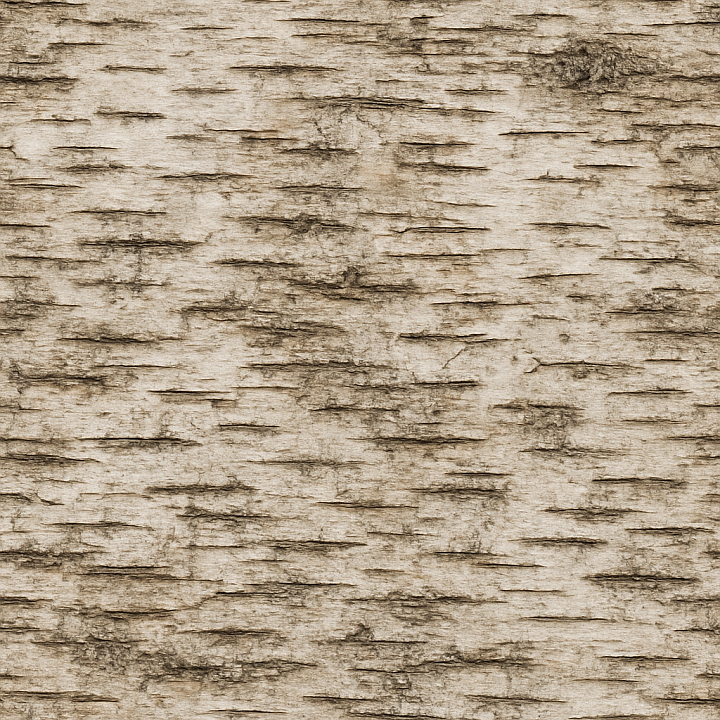 Aged Birch Bark seamless PBR texture preview