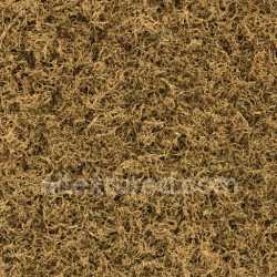 seamless Dry Moss Texture texture 8k free download PBR
