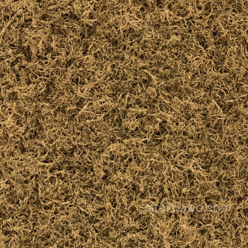 Dry Moss Texture seamless Grass PBR texture