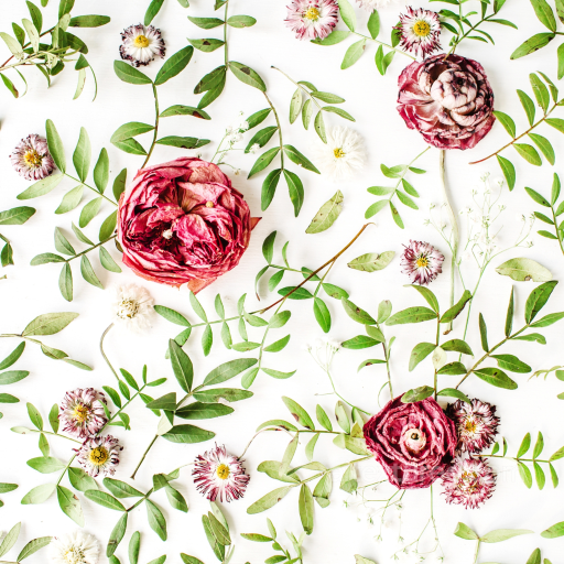 Wild Flower Texture of Dried Wild Flowers with Green Leaves on White seamless Wild Flower  PBR texture