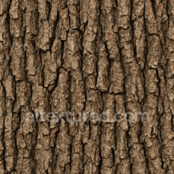 seamless Coarse Oak Bark Texture Seamless 1024X1024 texture 1024x1024 free download PBR