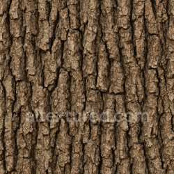 seamless Coarse Oak Bark Texture Seamless texture 8k free download PBR