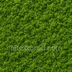 seamless Shiny Green Moss Texture Seamless 1024X1024 texture 1024x1024 free download PBR