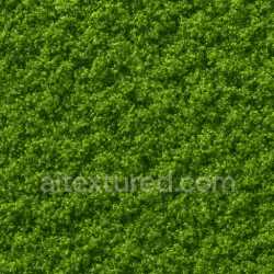 seamless Shiny Green Moss Texture Seamless texture 8k free download PBR