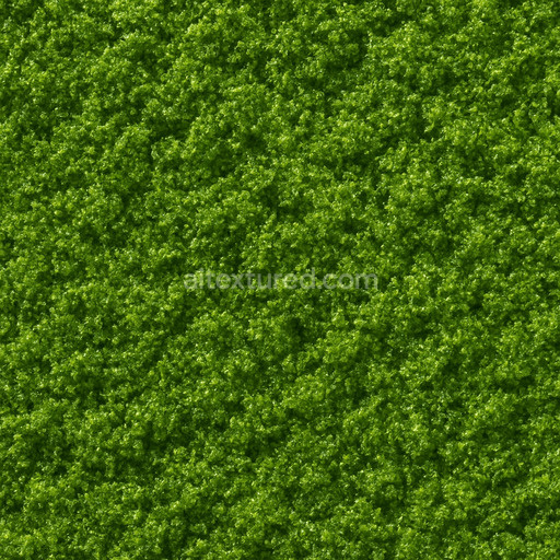 Shiny Green Moss Texture Seamless 1024X1024