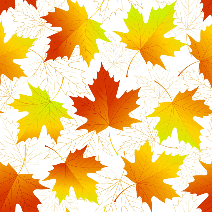 Autumn Leaves of Vibrant Autumn Maple Leaves Pattern Wood seamless PBR texture preview