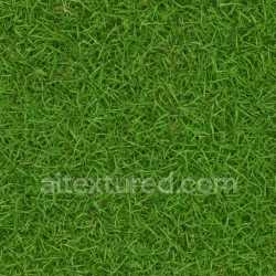 seamless Realistic Grass Seamless Texture texture 8k free download PBR