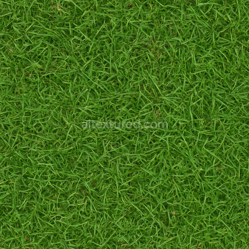 Realistic Grass Seamless Texture
