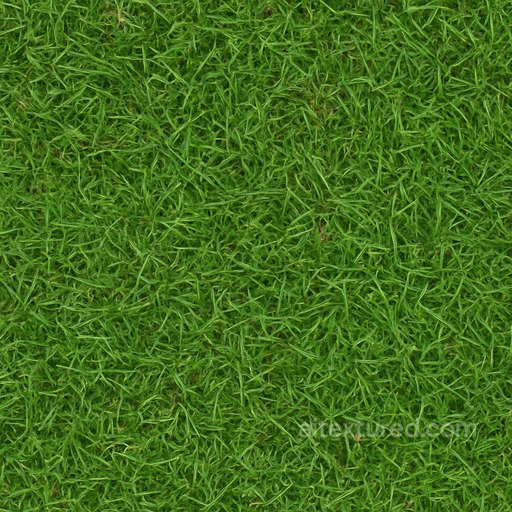 Realistic Grass Seamless Texture seamless Grass PBR texture
