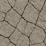 Rock
