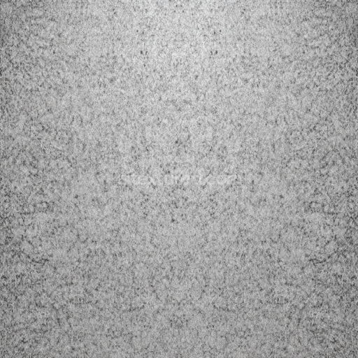 Seamless 3D Felt PBR Texture Featuring Dense Soft Gray Fibers with Subtle Heathered Detail