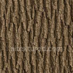 seamless Fine Oak Bark Texture Seamless texture 8k free download PBR