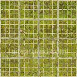 seamless Ground Moss Green Natural Tileable Texture Seamless texture 8k free download PBR