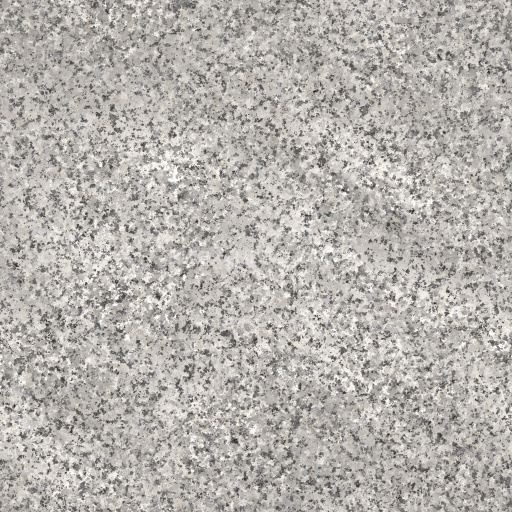Granite Stone Rock Natural Gray Texture Seamless Pbr Tileable Rough