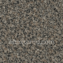seamless Granite Medium Speckle Polished texture 1024x1024 free download PBR