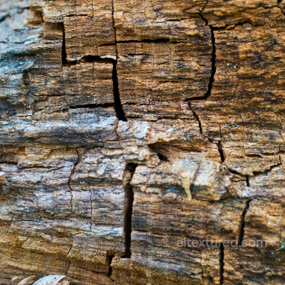 Wood Texture Featuring Natural Cracks and Weathered Bark Wood texture preview