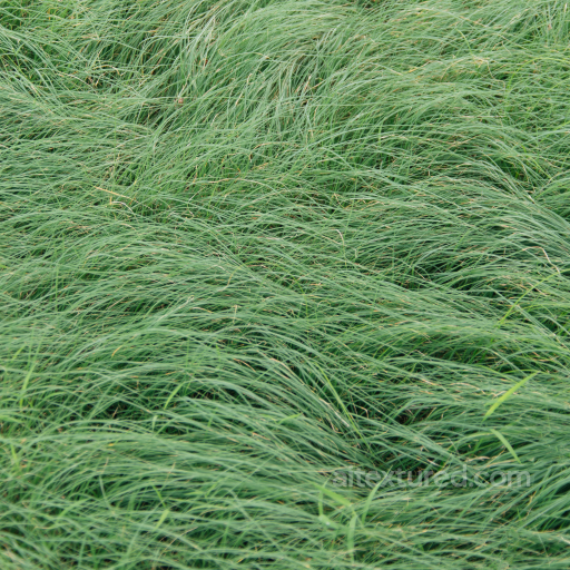 Dense Green Grass Ground Texture for PBR 3D Art seamless Grass PBR texture