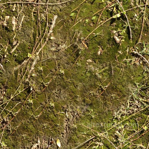 High-Quality Seamless Forest Ground Texture seamless Ground surface PBR texture