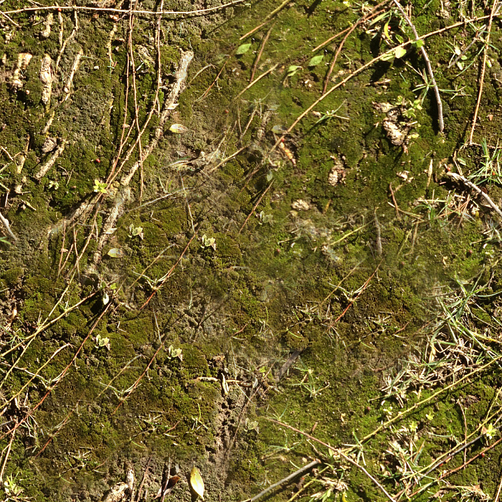 High-Quality Forest Ground seamless PBR texture preview