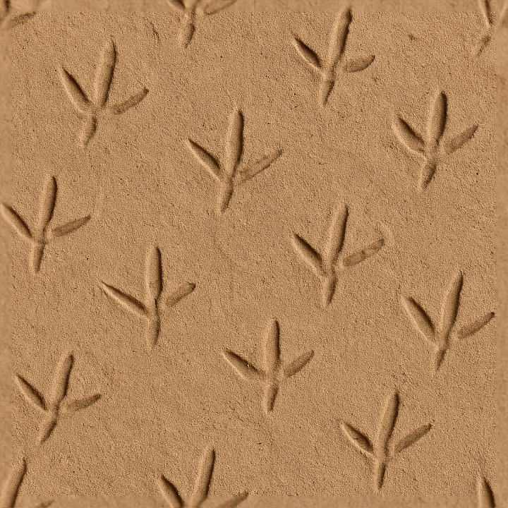 Of Bird Footprints On Sandy Desert Sand Surface seamless PBR texture preview
