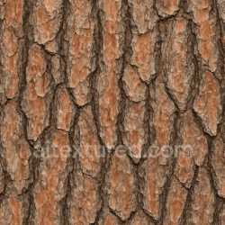 seamless Natural Pine Bark Texture Seamless texture 8k free download PBR