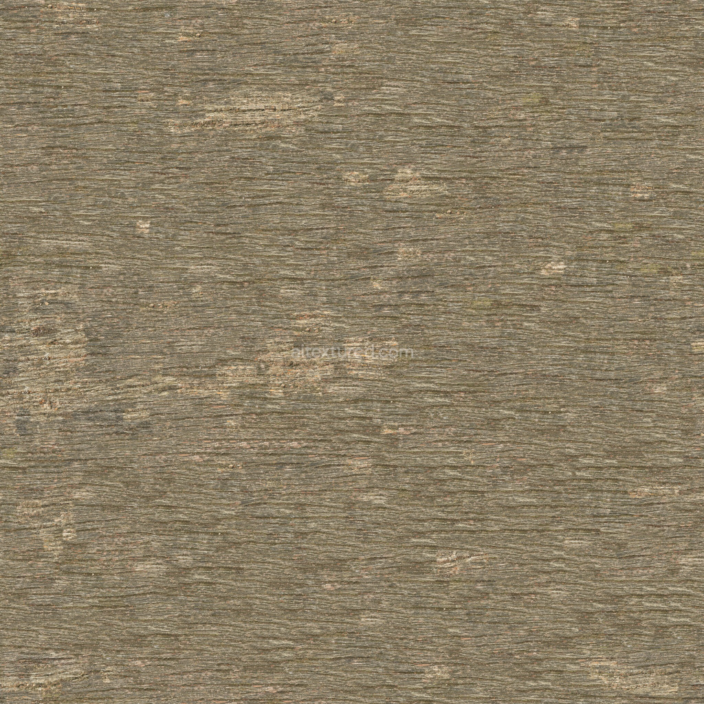 Seamless PBR wood texture with realistic grain and color
