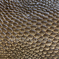seamless Seamless 3D PBR Reptilian Skin Texture Featuring Glossy Scaled Surface texture 8k free download PBR