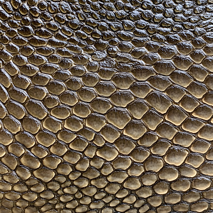 Reptilian Skin Featuring Glossy Scaled Surface seamless PBR texture preview