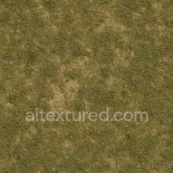 seamless Ancient Grass Texture texture 8k free download PBR