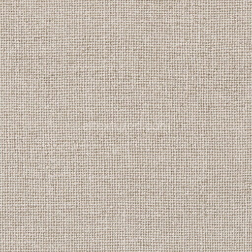 Detailed Cotton Seamless Texture