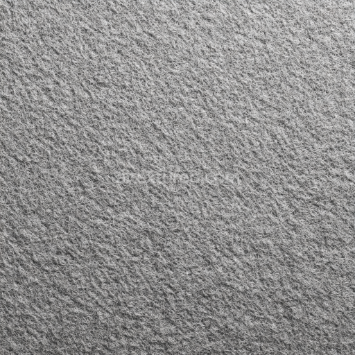 Seamless 3D Felt PBR Texture Featuring Soft Gray Dense Wool Fibers