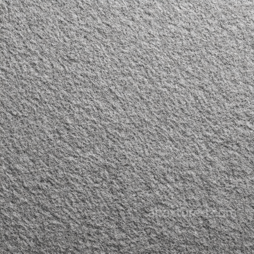 Felt PBR Texture Featuring Soft Gray Dense Wool Fibers seamless Felt PBR texture