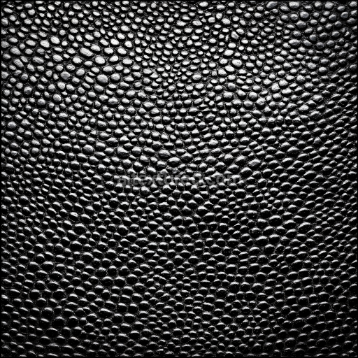 Seamless 3D PBR Texture of Detailed Black Reptilian Scale Skin