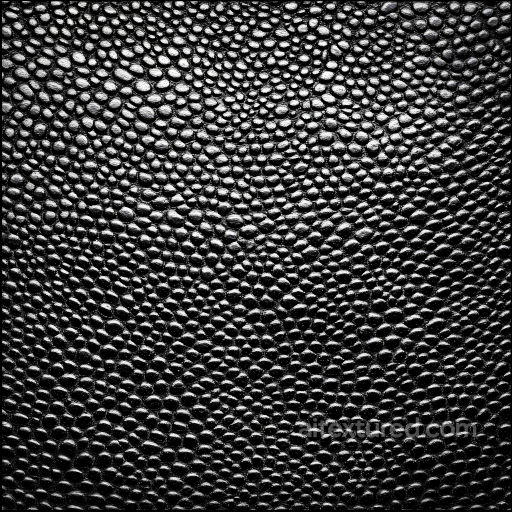 Detailed Black Reptilian Scale Skin Seamless Texture seamless Skin PBR texture