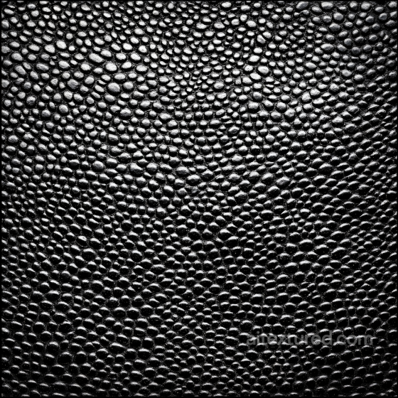 Detailed Black Reptilian Scale Skin Seamless Texture Skin texture preview