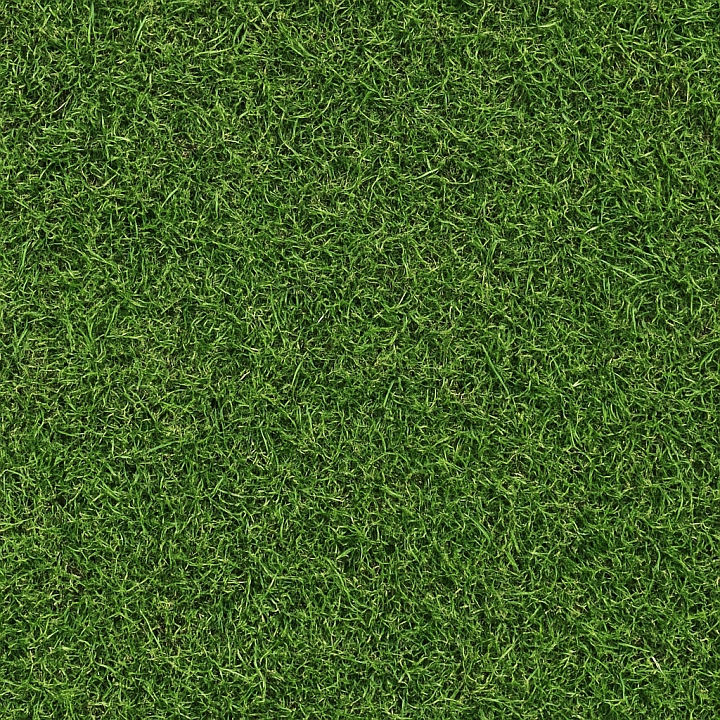Rough Green Lawn seamless PBR texture preview