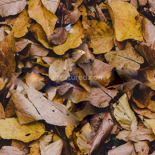 Seamless Forest Ground PBR Texture