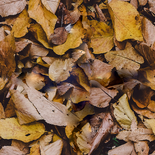 Seamless Forest Ground PBR Texture seamless Ground surface PBR texture