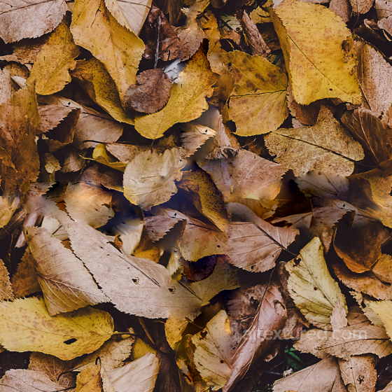 Seamless Forest Ground PBR Texture Ground surface texture preview
